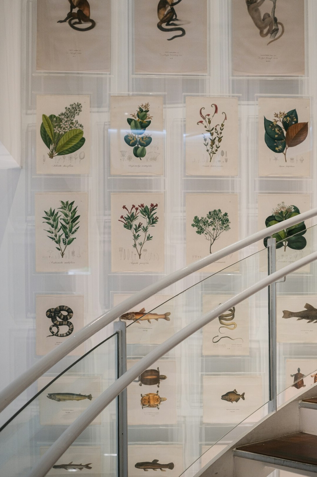 Wall covered with printed photographs pinned up in an archive room